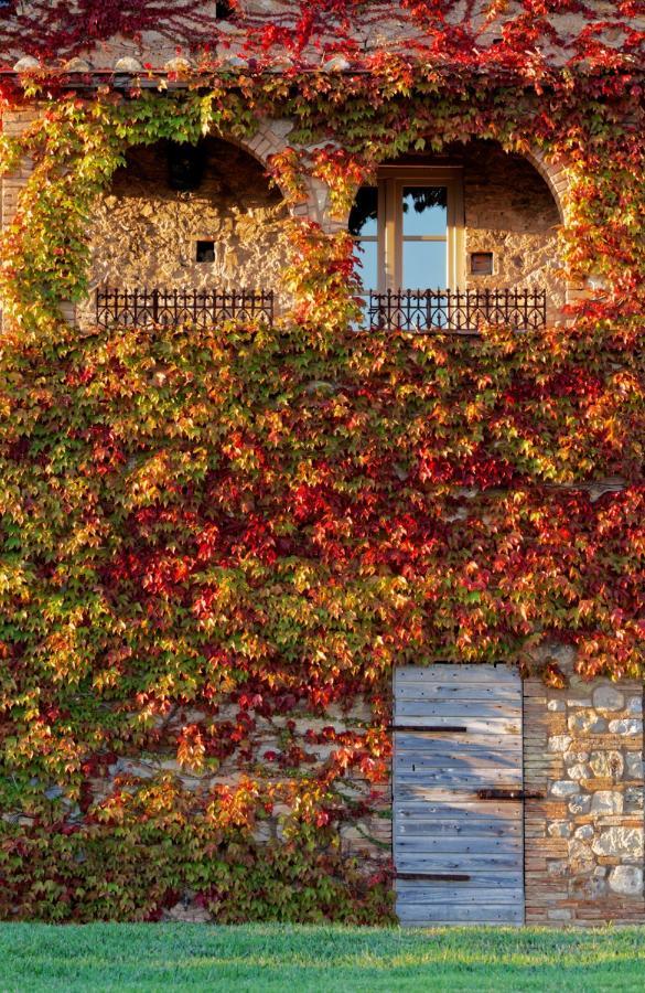 Relais Sant'Elena Bed and Breakfast Bibbona Eksteriør billede
