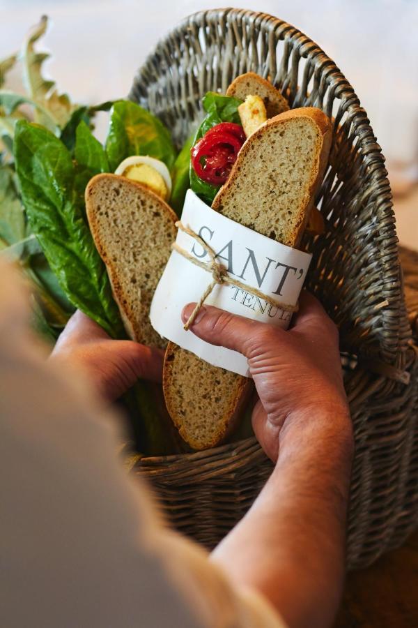 Relais Sant'Elena Bed and Breakfast Bibbona Eksteriør billede