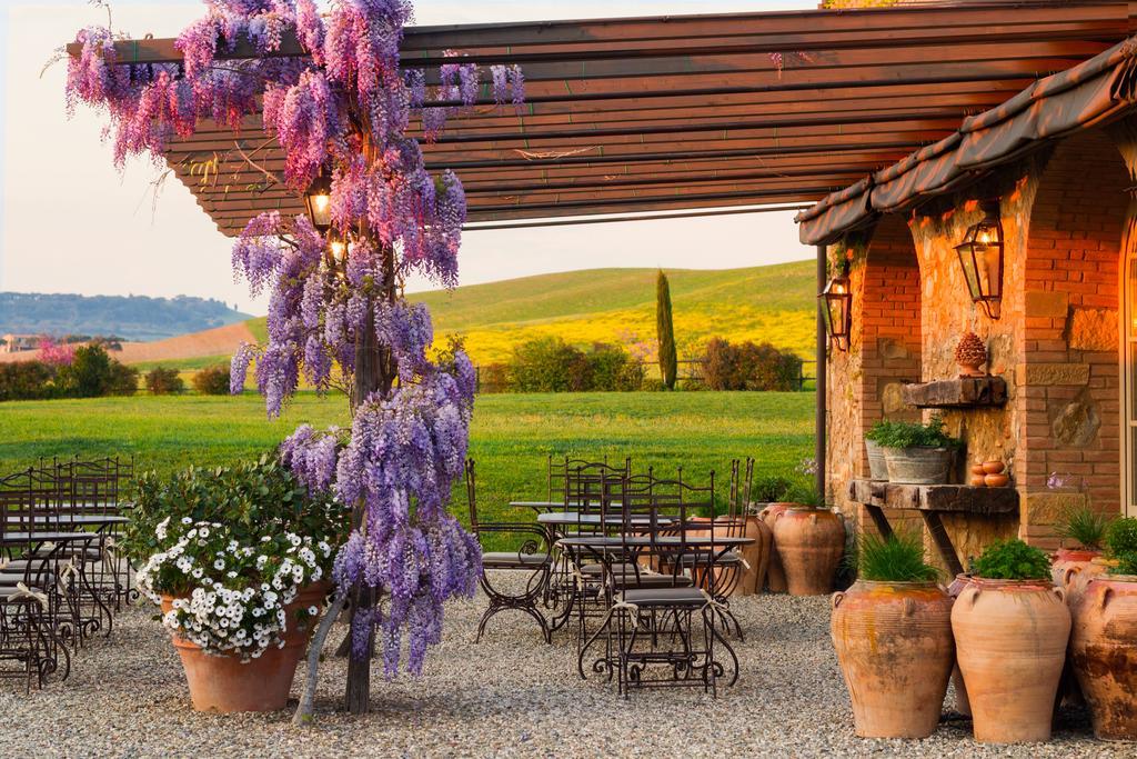 Relais Sant'Elena Bed and Breakfast Bibbona Eksteriør billede
